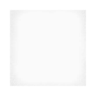 მეტლახი 1900 Blanco Sec. 20x20