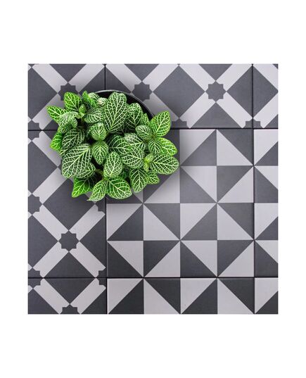 მეტლახი Terrades Grafito Sec. 20x20