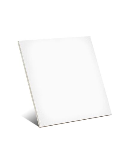 მეტლახი 1900 Blanco Sec. 20x20