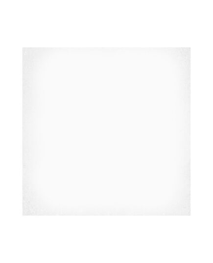 მეტლახი 1900 Blanco Sec. 20x20