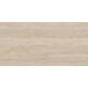 კერამოგრანიტი PARIS - R NATURAL MATT 60*120 "VIVES"